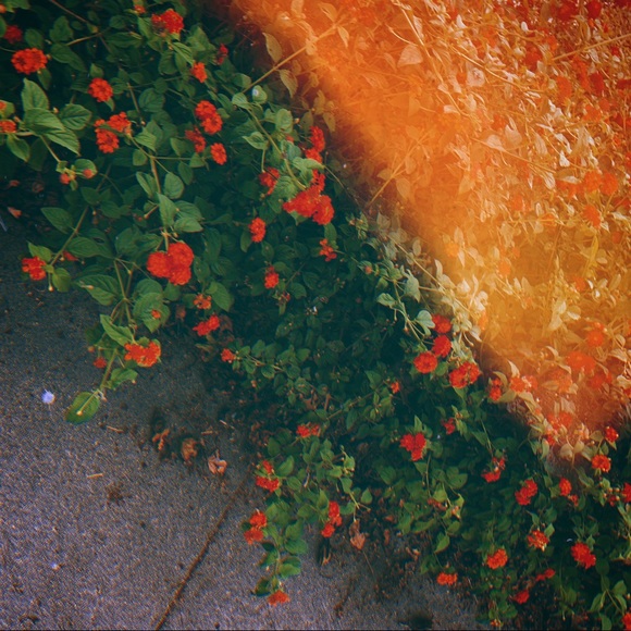 โจ New Closet ! - Picture 6 of 8